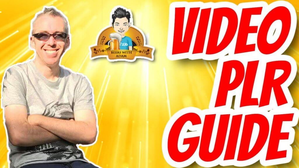 Video PLR Guide