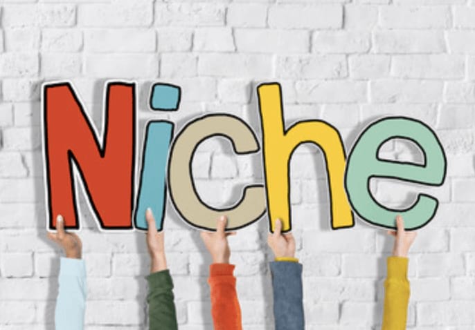 Choosing a niche