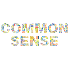 Common sense